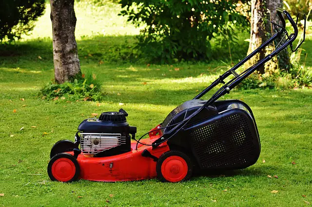 Lawn Mower with Grass Catcher