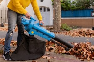 Corded Electric Leaf Vacuum