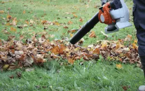 Gas Powered Leaf Blower